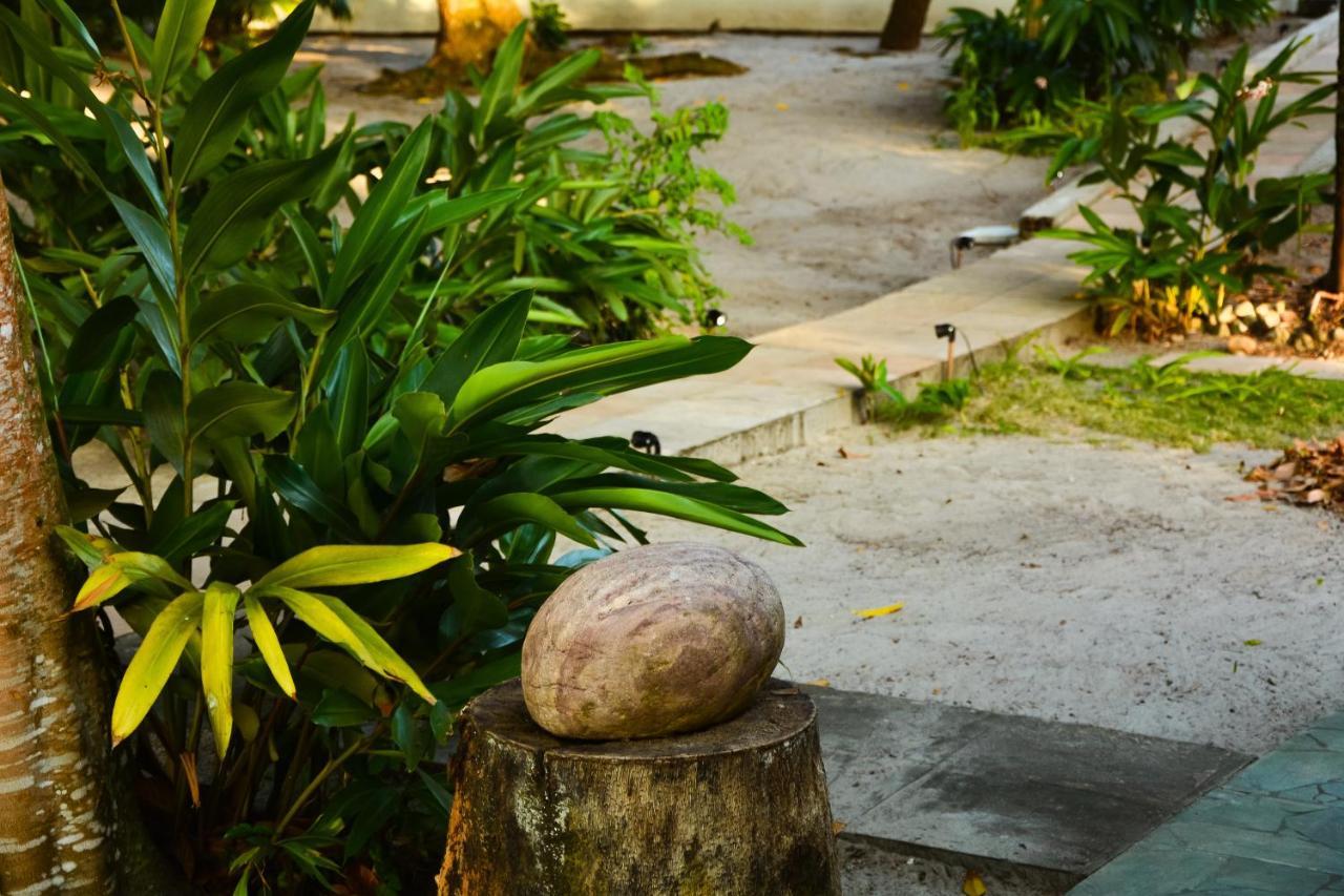 Pousada Vila Palma Boipeba Velha Boipeba Экстерьер фото